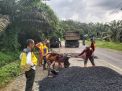 Siap Dilalui untuk Mudik Lebaran, BPJN Jambi Sebut Perbaikan Jalan Nasional Sudah 90 Persen