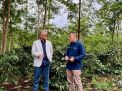 Berhasil Tingkatkan Produktivitas Kebun Kopi Arabika Tertua ke 3 di Bumi, PALMCO BAWA JAVA COFFEE KEMBALI MENDUNIA