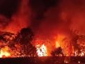Gudang Minyak Ilegal di Muaro Jambi, Terbakar, Polisi Selidiki Penyebab dan Pemilik 