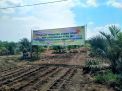 Ribuan Hektare Lahan Petani di Sumatera Utara Dapat Bantuan 22 Ton Lebih Benih Padi Gogo dari PTPN IV Palmco