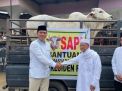 Bupati Batanghari salurkan bantuan hewan kurban dari Presiden RI