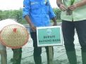 Bupati Batang Hari Fadhil Arief Tanam Padi Perdana di Jelutih, Awali Musim Tanam 2025