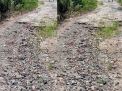 Proyek Jalan Rp 2 Miliar di Kerinci Diduga Salah Sasaran, 300 Meter Jalan Masih Mulus