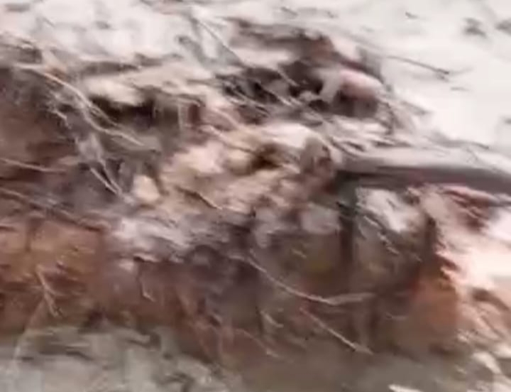 Tambang illegal Diduga Mengandung Zat Metan di kawasan Pemukiman Warga Ditinggalkan Penambang Terlantar