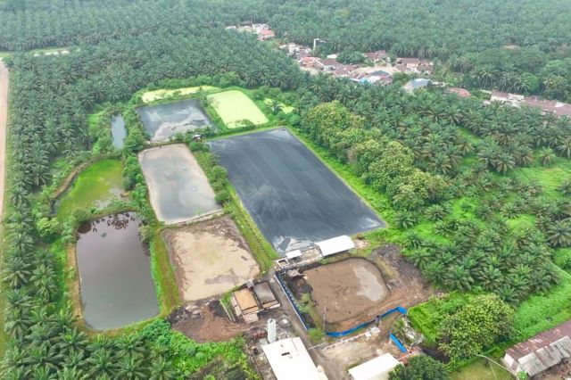 Dua PLTBg Ini Jadi Andalan PalmCo Tekan Biaya Energi di Tengah Gejolak Global