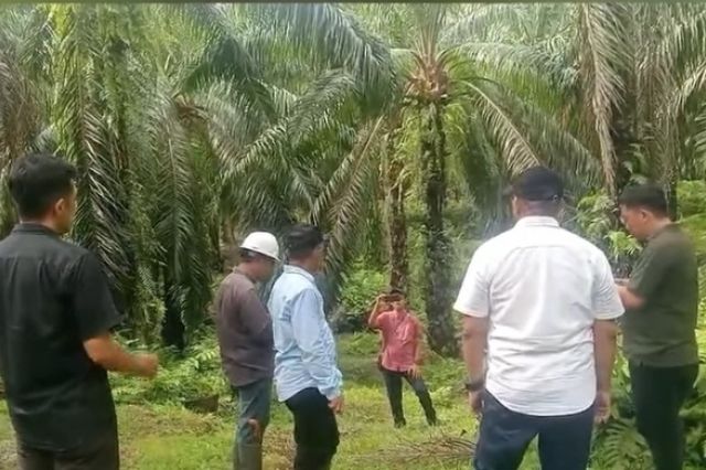 Manajemen PTPN IV Regional IV Pastikan Jaga Keseimbangan Alam