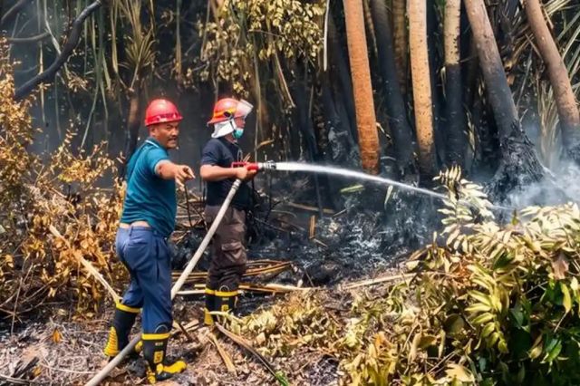 Antisipasi Karhutla, PTPN IV PalmCo Perkuat Deteksi Dini dan Patroli di Sumatera-Kalimantan