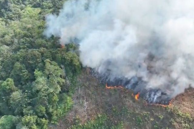 Karhutla di Area PT Jebus Maju Meluas, Tim Gabungan Butuh Water Bombing