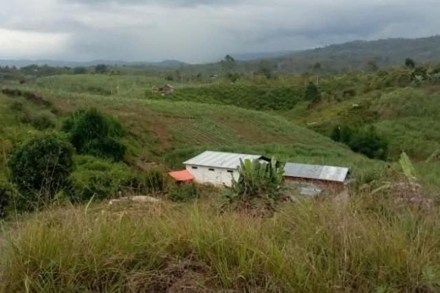 Dugaan Aset Pejabat Kerinci Tak Tercantum LHKPN Disorot, Ada Kebun hingga Kilangan Tebu
