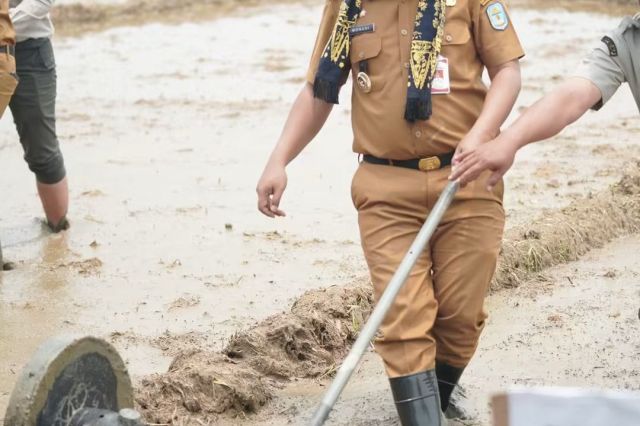 Langkah Nyata Perkuat Pangan Kerinci, Monadi-Murison Tanam Padi PM-AAS