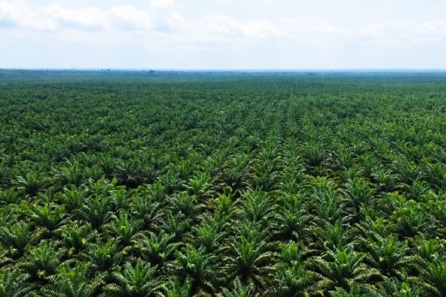 PTPN IV Regional IV Dukung Kapolri Berantas Narkoba Sampai ke Akar-akarnya